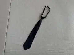 Item thumbnail for item d0a5dead-9513-4991-a3a7-c6ab2f867fb0