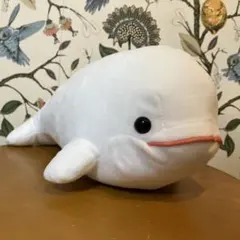 クジラ SUPER BIG ぬいぐるみ - メルカリ