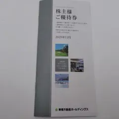 東急不動産ホールディング株主優待券（100株以上）