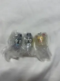 SKZOO めじるしアクセサリー ウルフチャン フォクシニー 3個セット