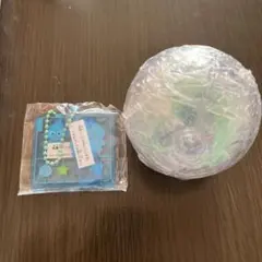 ハンギョドン　プラスチックモデル! アクリルキーチェーン　 カプセルステッキ