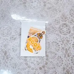 すとぷり るぅとくん STPREXPOくじC賞ステッカーセット