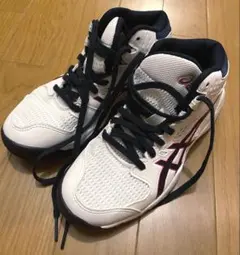 バスケットシューズasics21cm バッシュ　ダンクショット