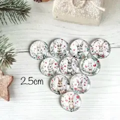 2.5cm カボション 10個