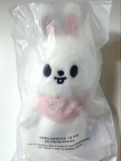 【匿名】Stray Kids スキズ リービット 10cm ぬい ペンミ