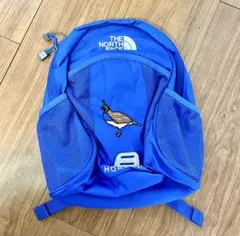 THE NORTH FACE リュック キッズ 青 鳥刺繍