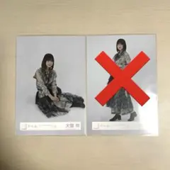 櫻坂46 生写真 大園玲 3rdアニラ ライブ衣装 座り