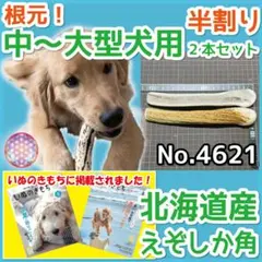中～大型犬用 エゾ鹿の角 根元半割り2本 北海道産 犬 おもちゃ　46214のサムネイル