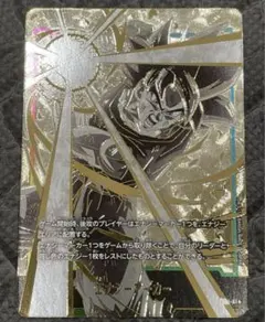 身勝手　エナジーマーカー　孫悟空　パラレル