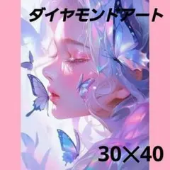 A628】ダイヤモンドアート 30×40cmラウンド 青い花と少女✱ - メルカリ