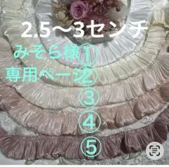 みそら様専用ページ