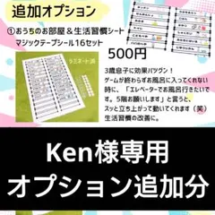 オプション①追加