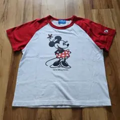 美品TOKYO Disney RESORT ミニーマウスTシャツ