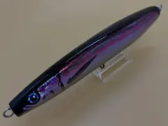 カーペンタールアー　パンドラ155 IMG_76051[1].jpg