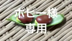 ポピー様専用　赤そら豆　500g 豆ご飯で赤飯の色合い　佐賀平野のお野菜