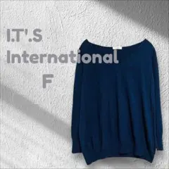 イッツインターナショナル ニットセーター ネイビー Vネック 長袖 フリーサイズ