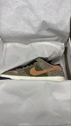 Arts Rec x Nike SB Dunk Low Pro QS