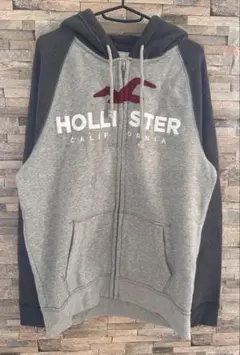 ホリスター パーカー