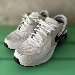 Nike Air Max ホワイト/ブラック