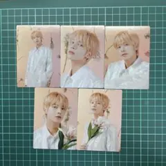 TXT ミニフォトカード　テヒョン　セット