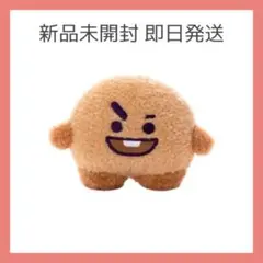 BT21 たっとん ノーマル ぬいぐるみ Sサイズ shooky