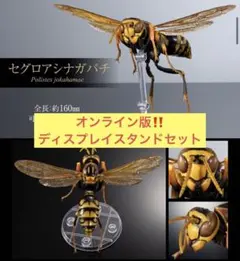 Item thumbnail for item f11ac5b9-3b4d-4b6b-941a-c47f2573efd3