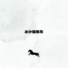 韓国 ノースフェイス ホワイトレーベル スポーティ ボンバージャケット L