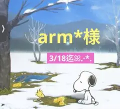 arm*様 専用ページ