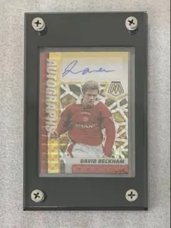 Item thumbnail for item 0aa20df8-f845-4950-b878-400829e81bb6