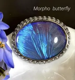 モルフォ蝶ヴィンテージブローチ オーバル型 ガラスドーム 大ぶり