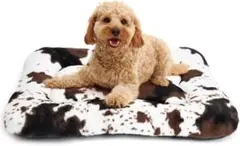 Item thumbnail for item ef164078-2f9c-4ced-aaf5-7aef6ba2bffd