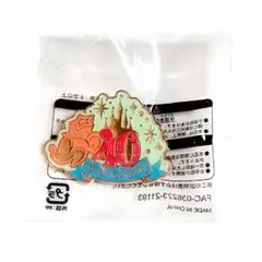 東京ディズニーリゾート 40周年 ランド 限定 ピンバッジ《ミッキー》