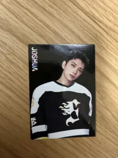 Item thumbnail for item 5386d83c-bfa0-48e9-a4db-2a74f29378f4