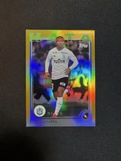 Item thumbnail for item 3c460c73-6c9f-4c75-8954-1da03ecf7100