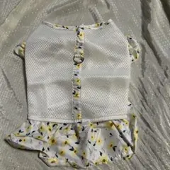 Item thumbnail for item 76ed8d03-54bb-4902-a220-036962527633