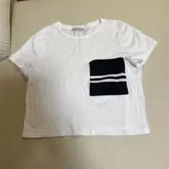 ZARA TRAFALUC クロプト半袖Tシャツ