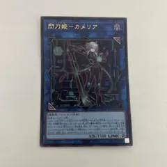 2025年最新】閃刀姫カメリアの人気アイテム - メルカリ