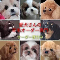愛犬さんの羊毛オーダー専門・わんちゃん・受付中
