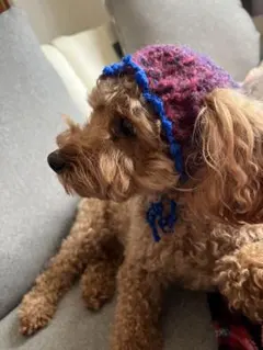 Item thumbnail for item 368ff69c-bdf7-4748-a855-54074d344adf