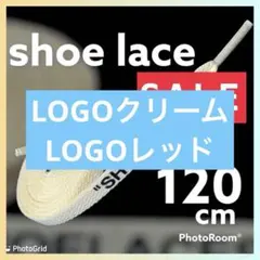 120cm【ロゴ入りクリーム】セイル SHOELACES 靴紐 ナイキ 韓国