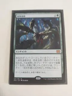 MTG　マジック・ザ・ギャザリング　日本語　食物連鎖のサムネイル
