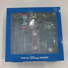東京ディズニーリゾート アクリルキーホルダーセット