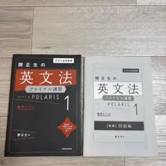 大学入試問題集 関正生の英文法ファイナル演習ポラリス[1 標準レベル]のサムネイル