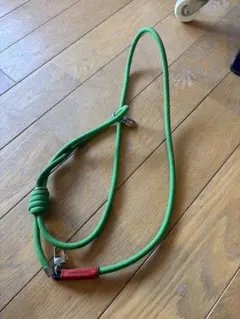 Topologie スマホショルダーストラップ グリーン