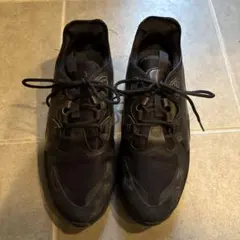 本日限定最終価格　定価に戻しますNIKE エアマックス