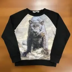 【エイチアンドエム】黒豹プリント トレーナー 140cm