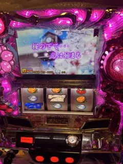 m70609432729_1.jpg?1769513780