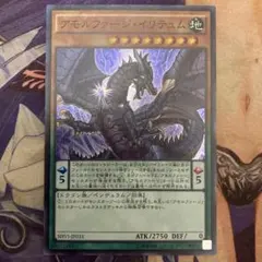 アモルファージイリテュム