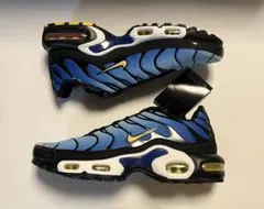 【最安値】【完売商品】ナイキ エアマックスプラス
