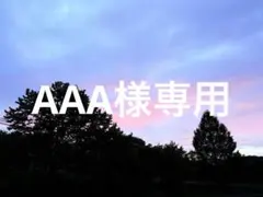 イルビゾンテ　二つ折り財布　プラチナ